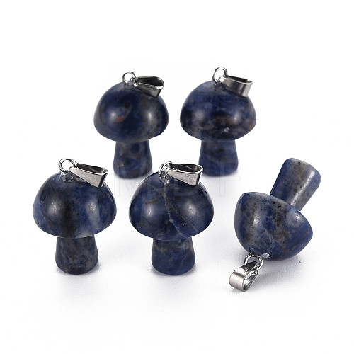 Natural Sodalite Pendants G-N0325-10K-1