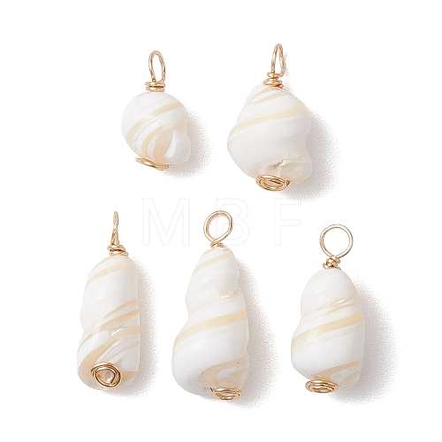 Natural Conch Shell Pendants PALLOY-JF02808-02-1