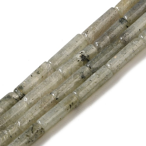 Natural Labradorite Beads Strands G-D464-29-1