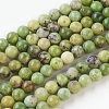 Natural Serpentine Beads Strands G-G767-04-8mm-1