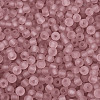 FGB Frosted Transparent Glass Seed Beads SEED-N013-02A-06-3