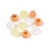 Resin European Beads RESI-Q236-01A-13-1