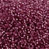 MIYUKI Round Rocailles Beads SEED-G009-RR0645-2