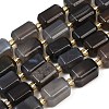 Natural Botswana Agate Beads Strands G-P611-A02-02-2