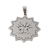 Non-Tarnish 201 Stainless Steel Pendants STAS-s126-05P-1