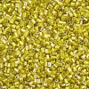 Glass Bugle Beads SEED-S032-09A-636-3