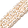 Natural Cultured Freshwater Pearl Beads Strands PEAR-I007-01P-03B-2