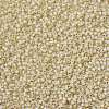 MIYUKI Round Rocailles Beads SEED-JP0009-RR0577-3