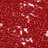 11/0 Grade A Glass Seed Beads X-SEED-S030-1016-2