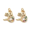 Brass Micro Pave Cubic Zirconia Charms KK-A291-12F-G-1