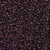 MIYUKI Round Rocailles Beads X-SEED-G007-RR0153-3