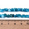 Natural Freshwater Shell Beads Strands SHEL-N037-04I-4