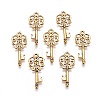 Tibetan Style Alloy Pendants LS-GLF11137Y-2