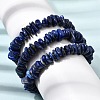 Natural Lapis Lazuli Chip Beaded Stretch Bracelets GG-CBA0FEA-01A-1