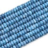 Synthetic Turquoise Beads G-G317-A28-3X6MM-2