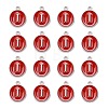 Platinum Plated Alloy Enamel Charms LS-ENAM-S118-03I-P-2
