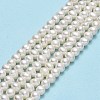 Natural Cultured Freshwater Pearl Beads Strands PEAR-F018-13D-01-2