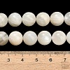 Natural White Moonstone Beads Strands G-L664-A01-10mm-5