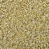 MIYUKI Delica Beads X-SEED-J020-DB1212-3