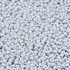 MIYUKI Round Rocailles Beads SEED-G007-RR0598-2
