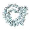 Natural Larimar Beads Strands G-P604-A28-01-3