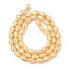 Electroplated Shell Pearl Beads Strands BSHE-C010-01B-2