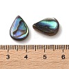 Natural Paua Shell Beads SSHEL-F305-02A-3