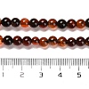 Natural Carnelian Beads Strands X-G-B079-A03-01-5