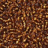 8/0 Glass Seed Beads SEED-US0003-3mm-22C-2
