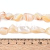 Natural Sea Shell Beads Strands SSHEL-N041-02A-4