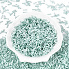 Glass Bugle Beads SEED-N007-28F-2