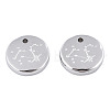Non-Tarnish 316 Surgical Stainless Steel Charms STAS-S116-418H-P-2