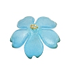 Transparent Acrylic Pendants PALLOY-JF04212-3
