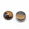 Natural Tiger Eye Cabochons LS-X-G-R416-6mm-35-2