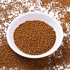 MIYUKI Delica Beads X-SEED-J020-DB2108-2