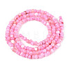 Natural Freshwater Shell Dyed Beads Strands SHEL-T020-29B-07-2