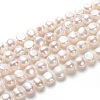 Natural Cultured Freshwater Pearl Beads Strands PEAR-L033-49-01A-1