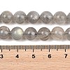 Natural Labradorite Beads Strands G-L654-O02-8mm-4