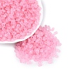 FGB Frosted Transparent Glass Seed Beads SEED-N013-06A-05-1