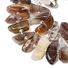 Natural Botswana Agate Beads Strands G-L649-A06-01-4