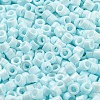Baking Paint Glass Seed Beads SEED-S042-05A-35-3