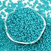 Baking Paint Glass Seed Beads SEED-L011-09A-07-2