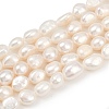 Natural Cultured Freshwater Pearl Beads Strands PEAR-P064-20C-06A-2