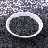 MIYUKI Round Rocailles Beads X-SEED-G007-RR2446-2