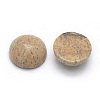 Natural Picture Jasper Cabochons G-P393-R51-8MM-2