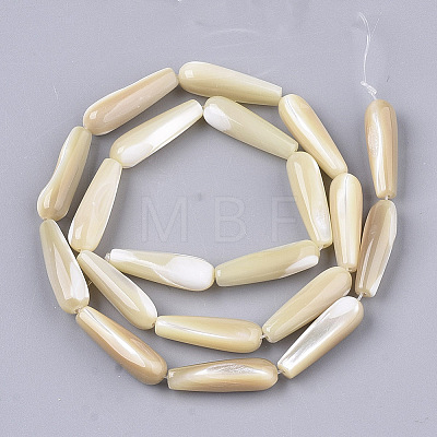 Natural Trochid Shell/Trochus Shell Beads Strands X-SSHEL-N032-02-1