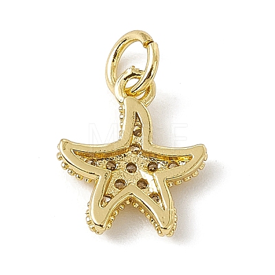 Brass Micro Pave Cubic Zirconia Charms ZIRC-F132-13G-1