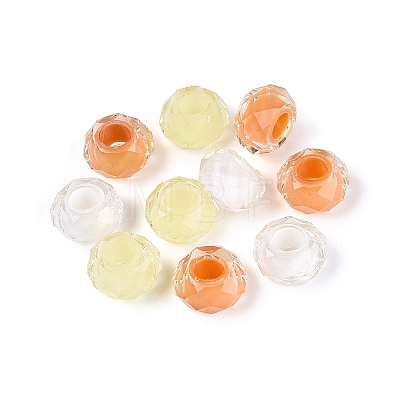 Resin European Beads RESI-Q236-01A-13-1