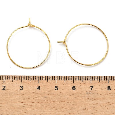 Iron Earring Findings IFIN-R211-01G-1