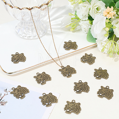 Tibetan Style Alloy Pendanrs FIND-WH0199-392AB-1